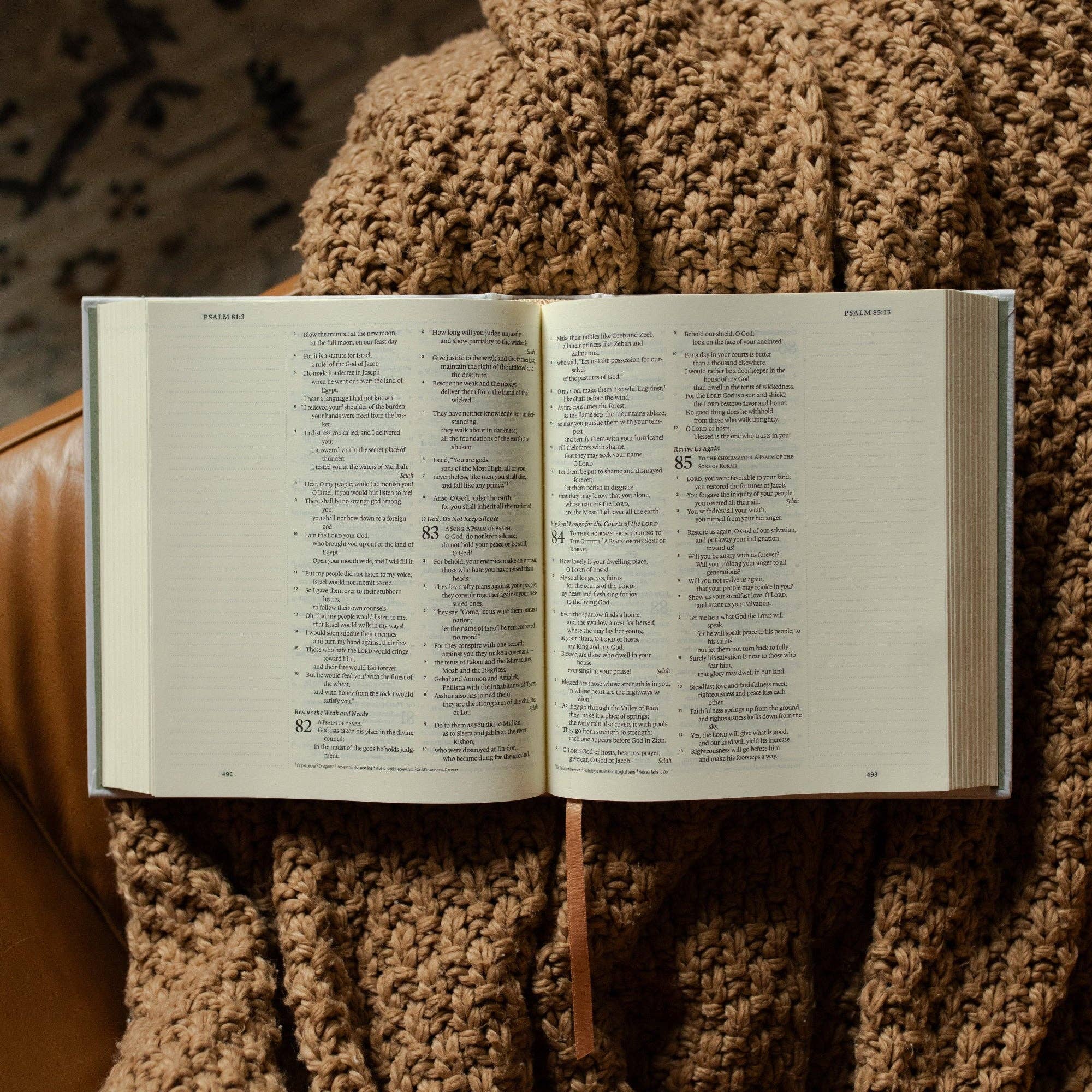 ESV Journaling Bible | New Mercies